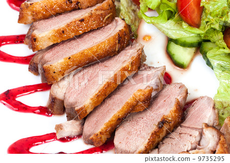duck fillet 9735295