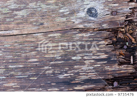 plank of old wood 9735476