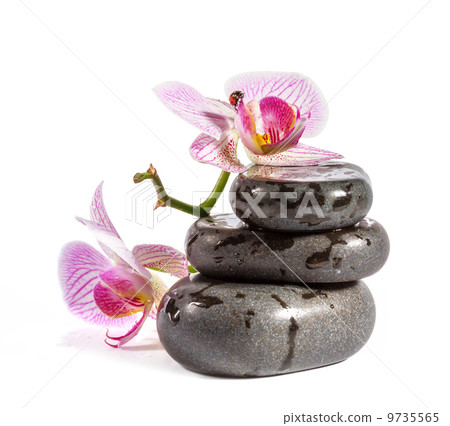 Zen stones with orchid and ladybird. Isolated on white backgroun 9735565