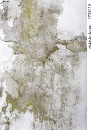 Old wall texture 9735650