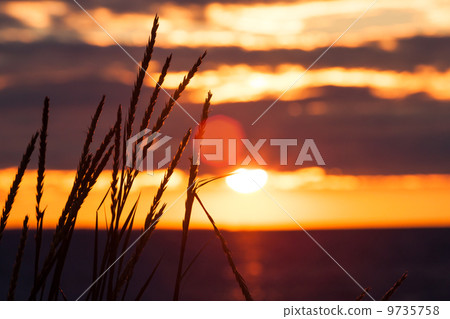 watching the sunset near the sea watching the sunset near the sea 9735758