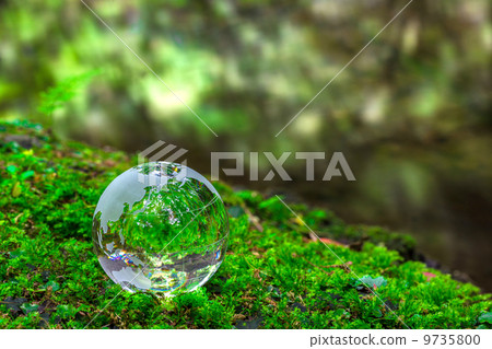 Glass globe 9735800