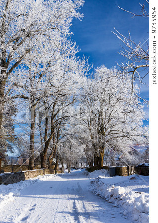 Winter road running between the frozen trees. Winter road running between the frozen trees. 9735954