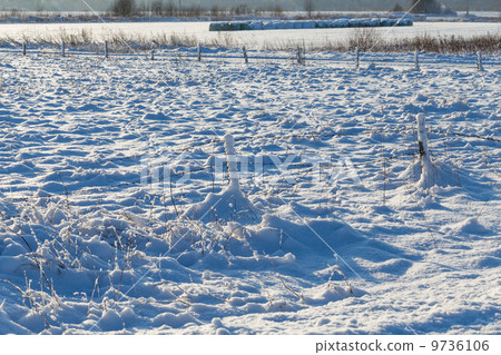 Barbed wire fence with snow covered ground 9736106
