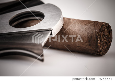 Cigar and cutter on a white background Cigar and cutter on a white background 9736357