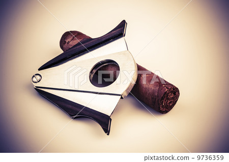 Cigar and cutter on a white background 9736359