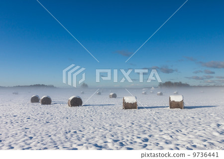 snowy hay bales with fog 9736441
