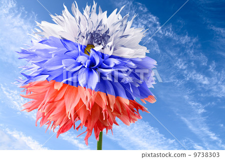 Flag of Russia Flag of Russia 9738303