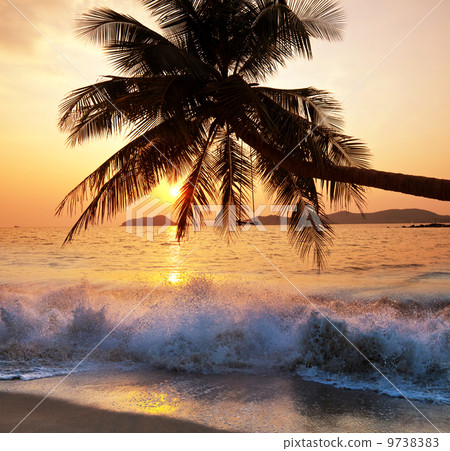 Tropical beach Tropical beach 9738383