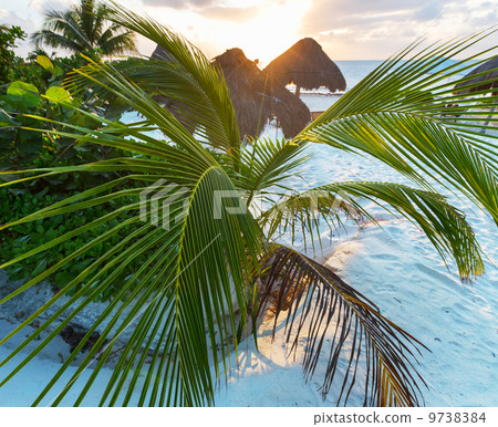 Tropical beach Tropical beach 9738384