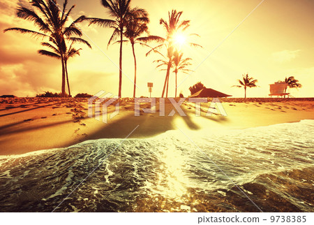 Tropical beach Tropical beach 9738385