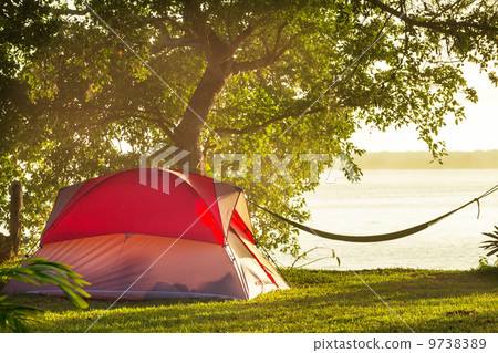 Tent in camping Tent in camping 9738389