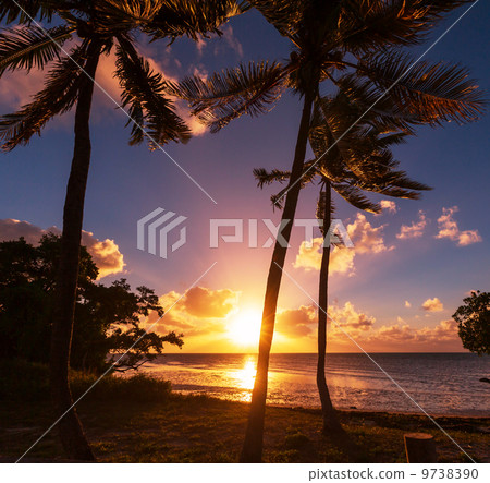 Tropical beach Tropical beach 9738390