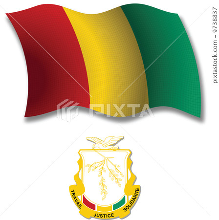 guinea textured wavy flag vector 9738837