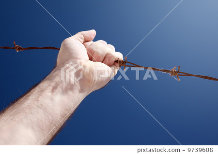 barbed wire barbed wire 9739608