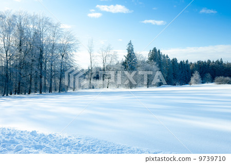 winter scenery at Dobel Germany 9739710