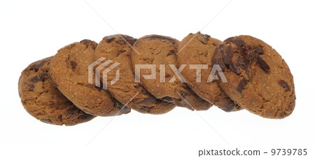 chocolate chip cookie chocolate chip cookie 9739785