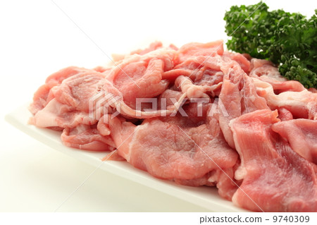 Pork cut-off 9740309