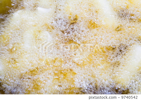 spring rolls spring rolls 9740542