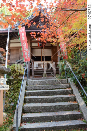 Shuin林業和秋葉在Yamashina京都 Shuin林業和秋葉在Yamashina京都 9740783