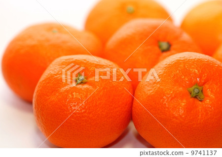 Mandarin orange  9741137