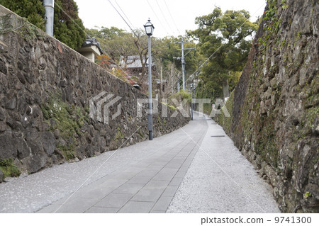 季風沼澤 季風沼澤 9741300