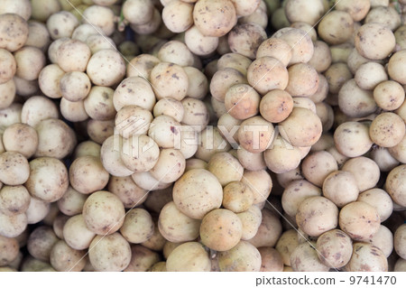 background Long kong Lansium domesticum background Long kong Lansium domesticum 9741470