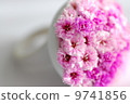Fresh flower rings 9741856