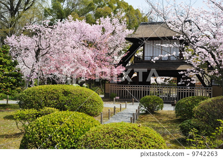 京都衣櫃花園的春天 9742263