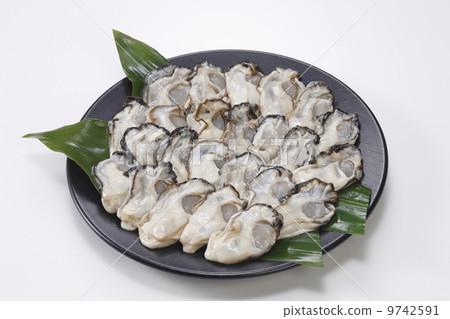生蠔皮 9742591