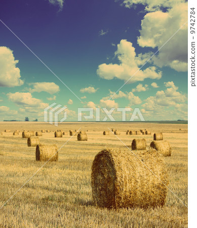 bales of straw in field - vintage retro style 9742784