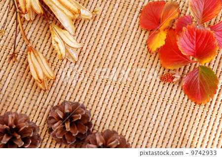 背景 背景 9742933