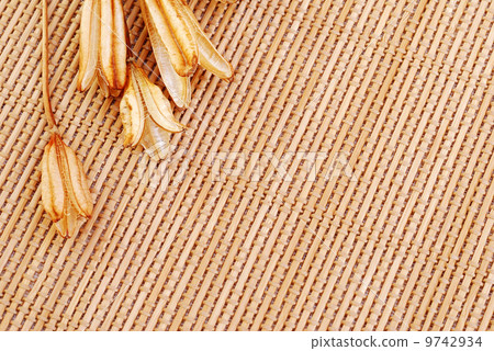 背景 背景 9742934