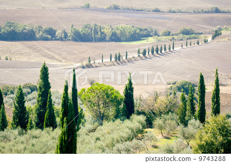 Pienza Landscape 9743288