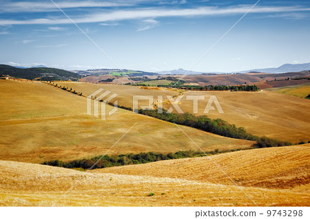 Tuscany Landscape 9743298