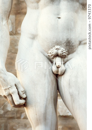 Michelangelos David in Florence Michelangelos David in Florence 9743370