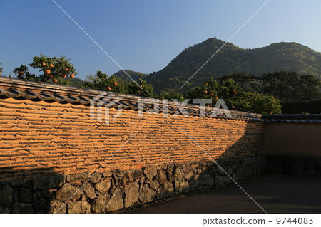 Bush clover Bush clover 9744083