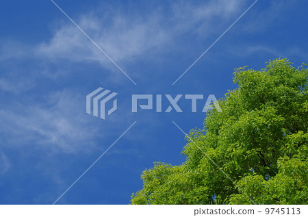 New green and blue sky (background material) 9745113