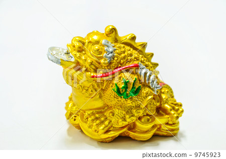 Frog  money Riches symbol 9745923