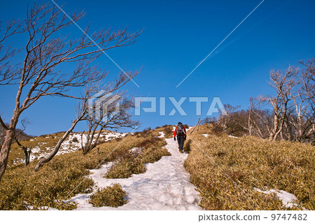 Tanzawa不動的登山人山上升的路 Tanzawa不動的登山人山上升的路 9747482