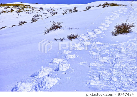 雪山和登山 雪山和登山 9747484