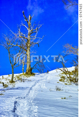 雪山和登山 9747485