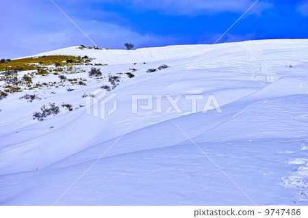 雪山和登山 9747486