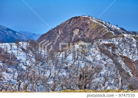 Tanzawa Hikigatake 9747550