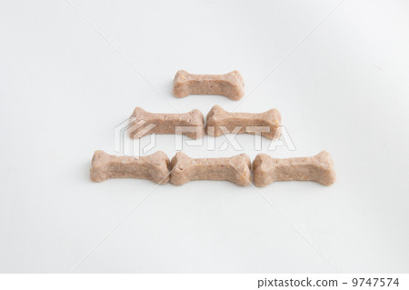狗的零食 9747574