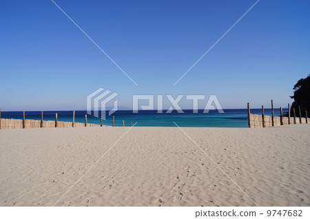 Izushita Shirahama大浜海灘竹樹 9747682