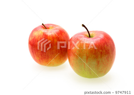 約拿金2件 約拿金2件 9747911