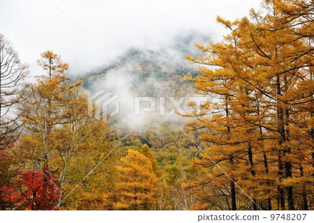 Kinui的Oku-Nikko Drive Line Kinui的Oku-Nikko Drive Line 9748207