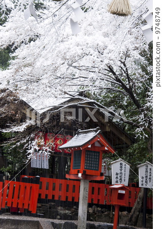 Snow Nomiya Shrine 9748749