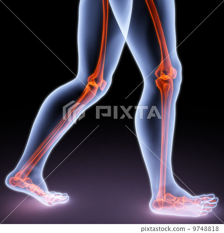 feet feet 9748818